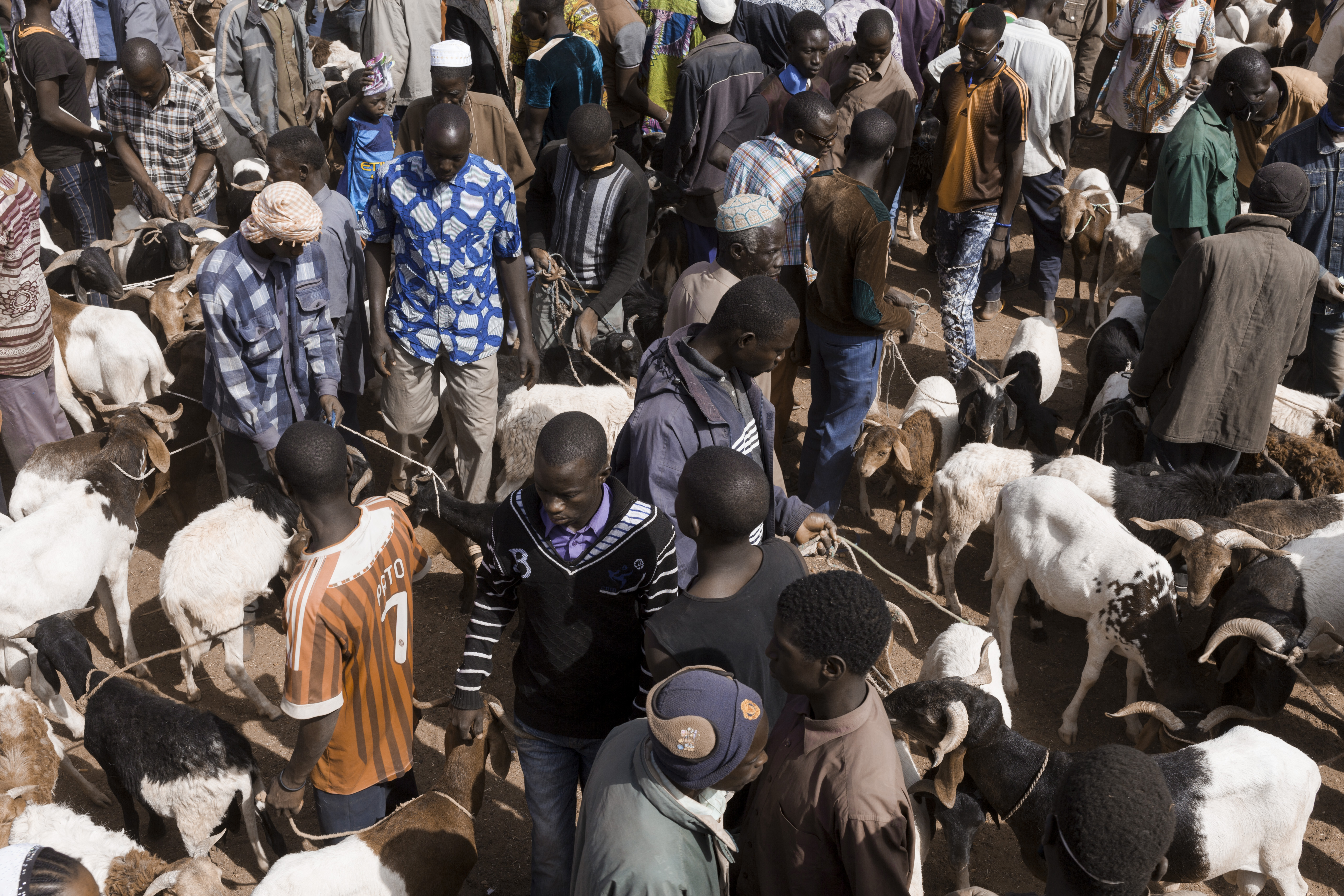 Marché au bétail de Fada N'Gourma, Burkina Faso