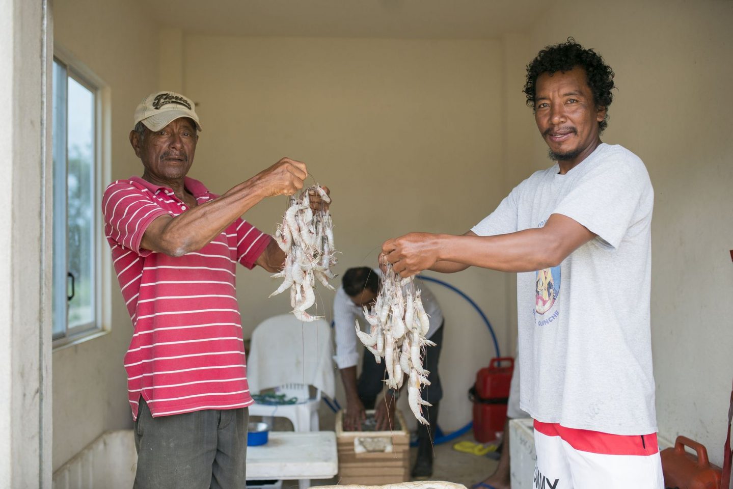 Pêche artisanale crevettes