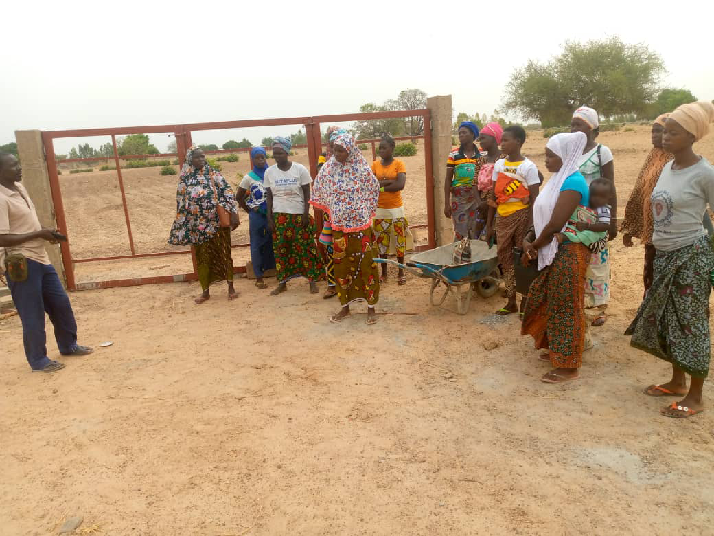 Formation en aviculture et résilience des femmes au Burkina Faso