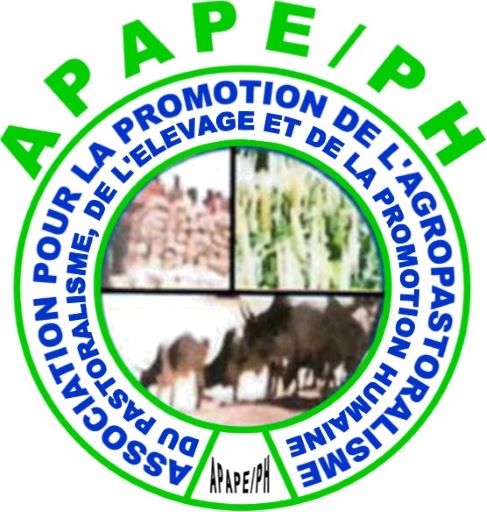 Logo-APAPE-PH