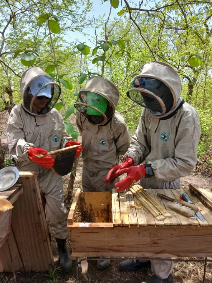 Jeunes apiculteurs soutenus par le projet PARCS et équipes d'AFL